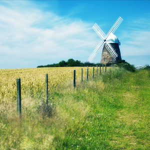 被灌满各种玩具C到失禁视频
